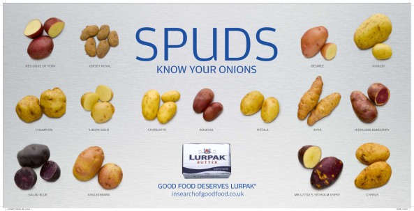 know-your-onions